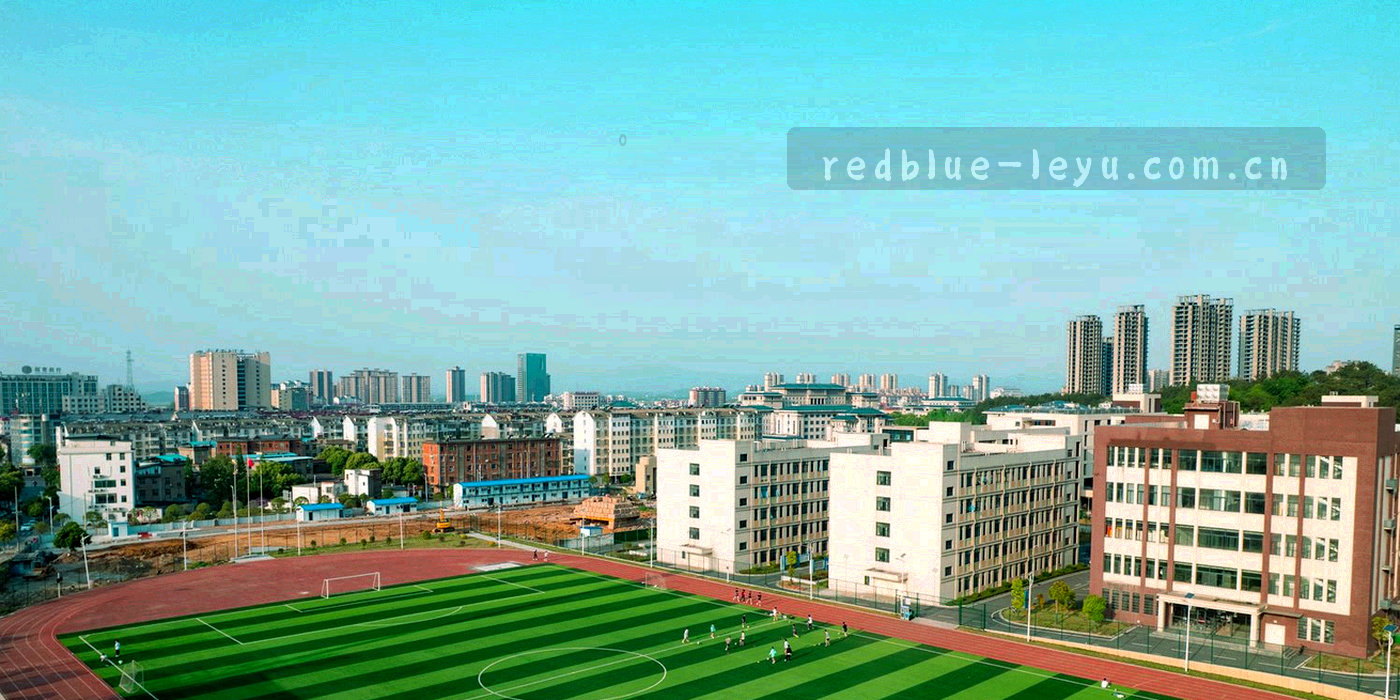 红蓝对半的抽象版面上叠加等宽编号与数据线